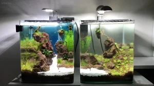 Изображение двух аквариумов-кубов с натуральным оформлением, камнями и растениями, демонстрирующее эстетику нано-аквариумистики.