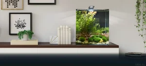 Современный аквариум-куб с живыми растениями и мхом, интегрированный в стильный домашний интерьер. Идеальное решение для небольших пространств.