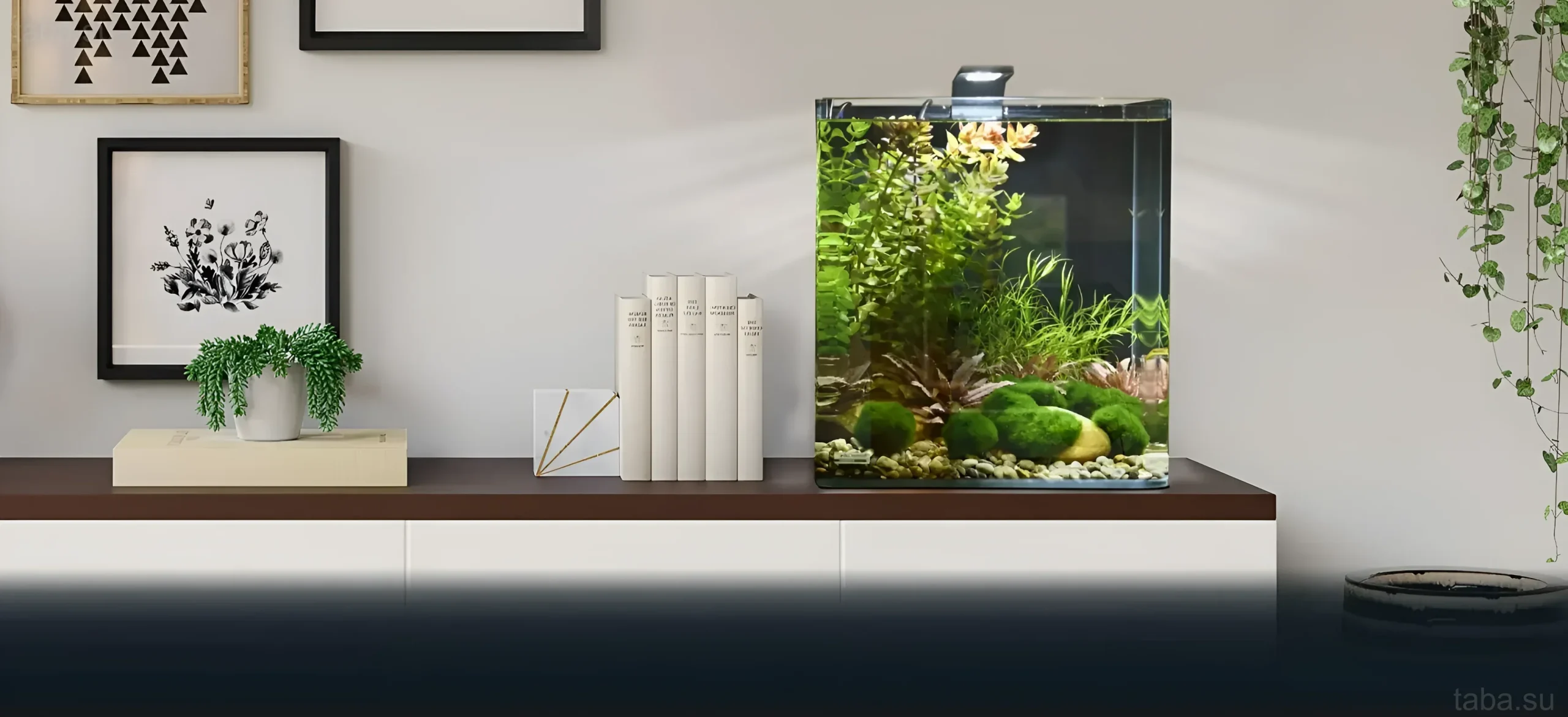 Современный аквариум-куб с живыми растениями и мхом, интегрированный в стильный домашний интерьер. Идеальное решение для небольших пространств.