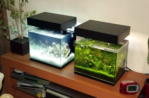 Фотография двух аквариумов-кубов: один с песчаным ландшафтом и камнями, другой с густой растительностью. Идеально для нано-аквариумов.