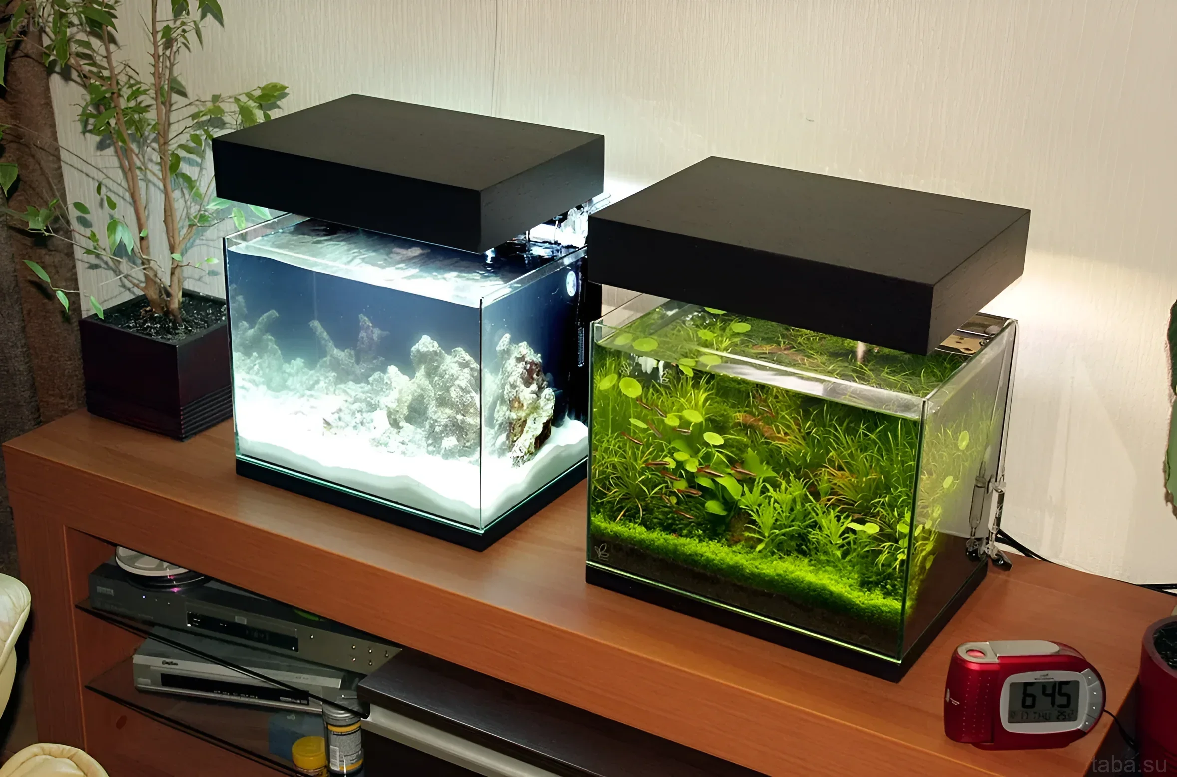 Фотография двух аквариумов-кубов: один с песчаным ландшафтом и камнями, другой с густой растительностью. Идеально для нано-аквариумов.