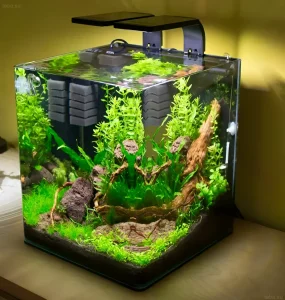 Фотография аквариума-куба с пышной растительностью, создающего эффект природного ландшафта. Идеально для начинающих аквариумистов и небольших помещений.