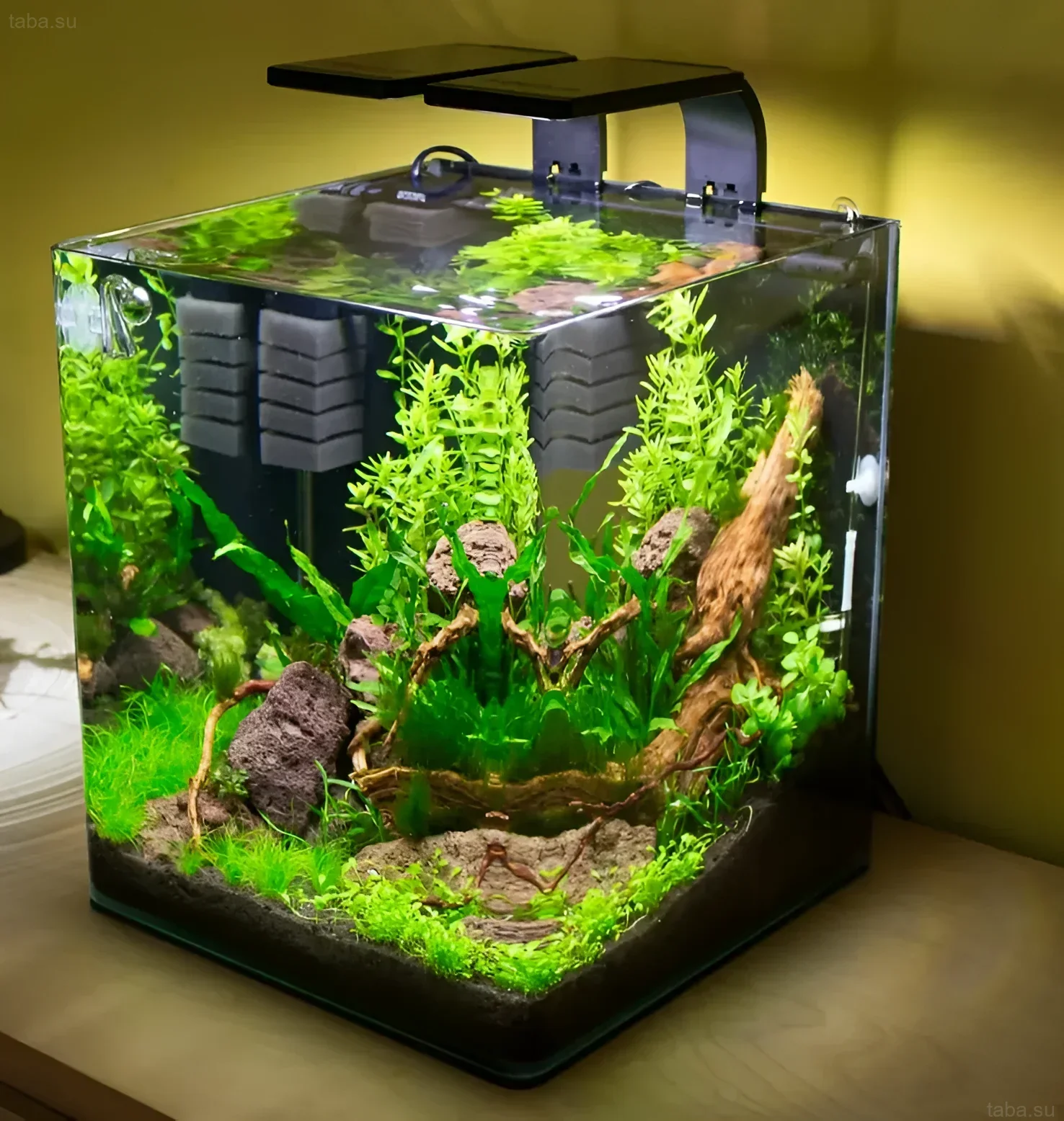 Фотография аквариума-куба с пышной растительностью, создающего эффект природного ландшафта. Идеально для начинающих аквариумистов и небольших помещений.