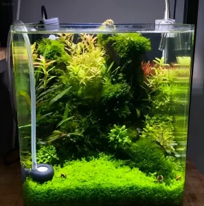 Фотография аквариума-куба, густо засаженного различными видами аквариумных растений, создающих эффект миниатюрного подводного леса.