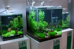 Фотография трех аквариумов-кубов, демонстрирующих пышную растительность и минималистичный дизайн. Подходит для вдохновения и планирования нано-аквариумов.