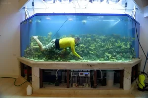 Впечатляющий морской аквариум с человеком, работающим внутри. Иллюстрация масштаба и сложности обслуживания больших морских систем.