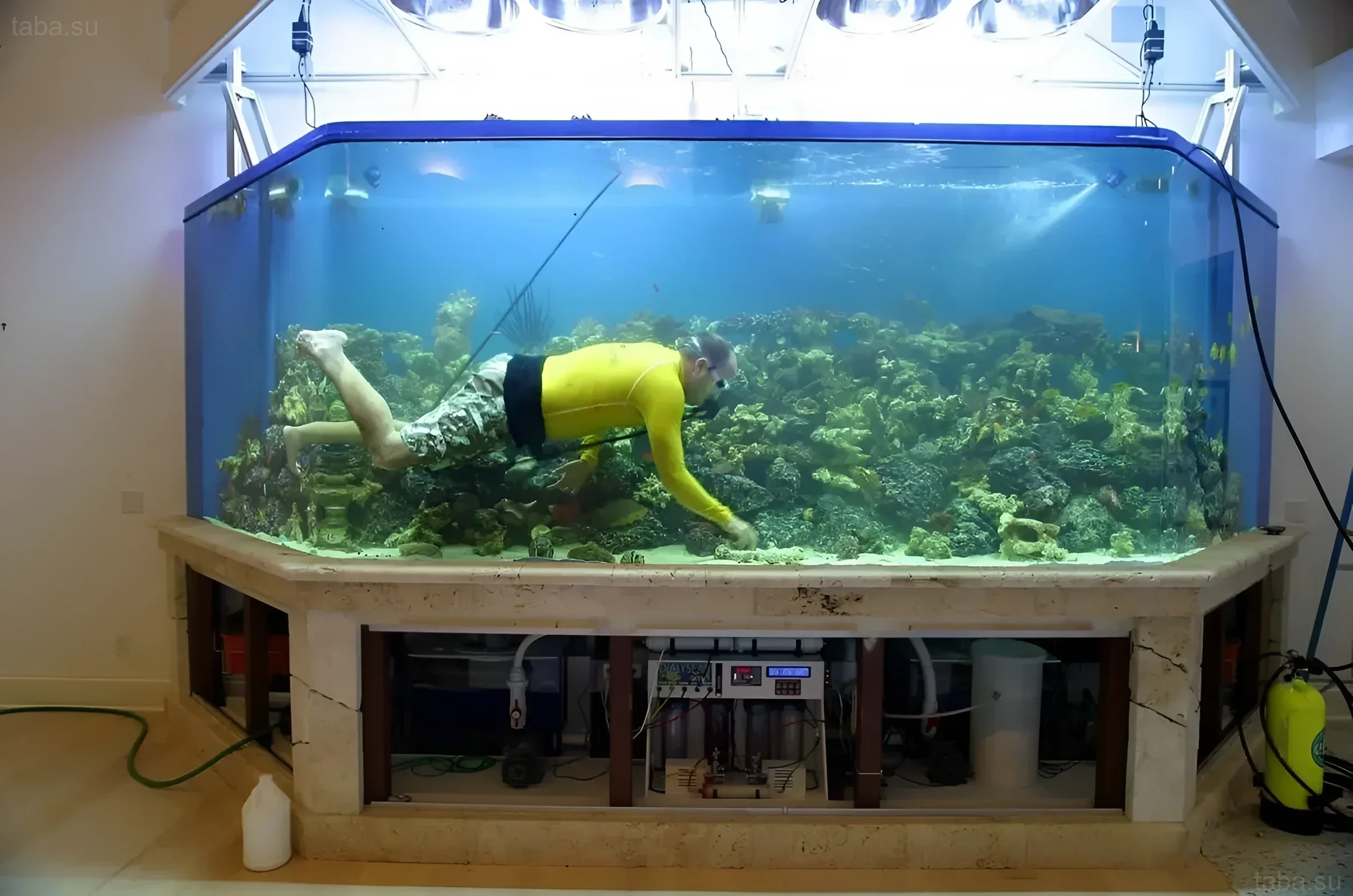 Впечатляющий морской аквариум с человеком, работающим внутри. Иллюстрация масштаба и сложности обслуживания больших морских систем.