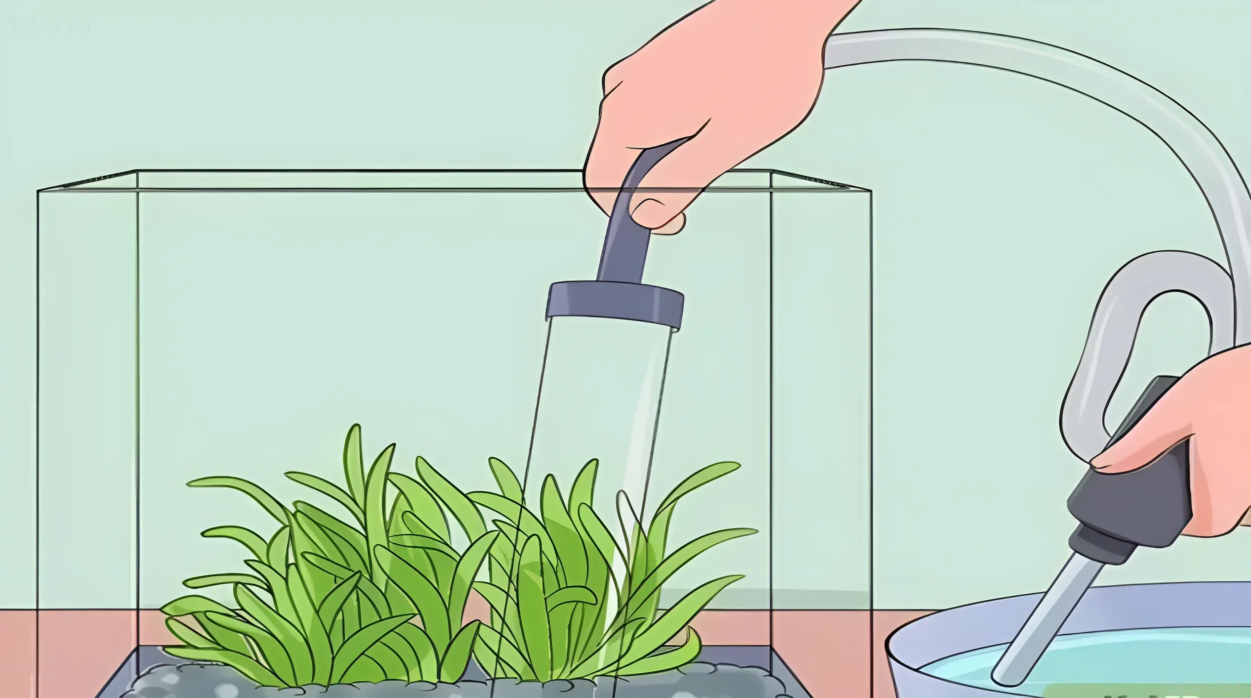 Иллюстрация процесса сифонной подмены воды в аквариуме с густыми растениями. Поддержание чистоты и здоровья аквариума.