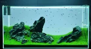 Фотография аквариума в стиле Ивагуми с использованием темных камней и плотного покрова гематины, населенного стайкой мелких рыб.