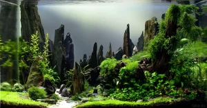 Фотография аквариума в стиле Ивагуми с впечатляющим горным ландшафтом, густой растительностью и стайкой неонов. Идеальный пример акваскейпинга.