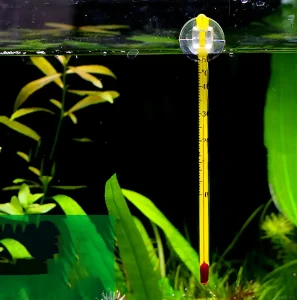 Изображение аквариумного термометра, показывающего температуру воды, на фоне живых растений. Важность поддержания оптимального температурного режима.