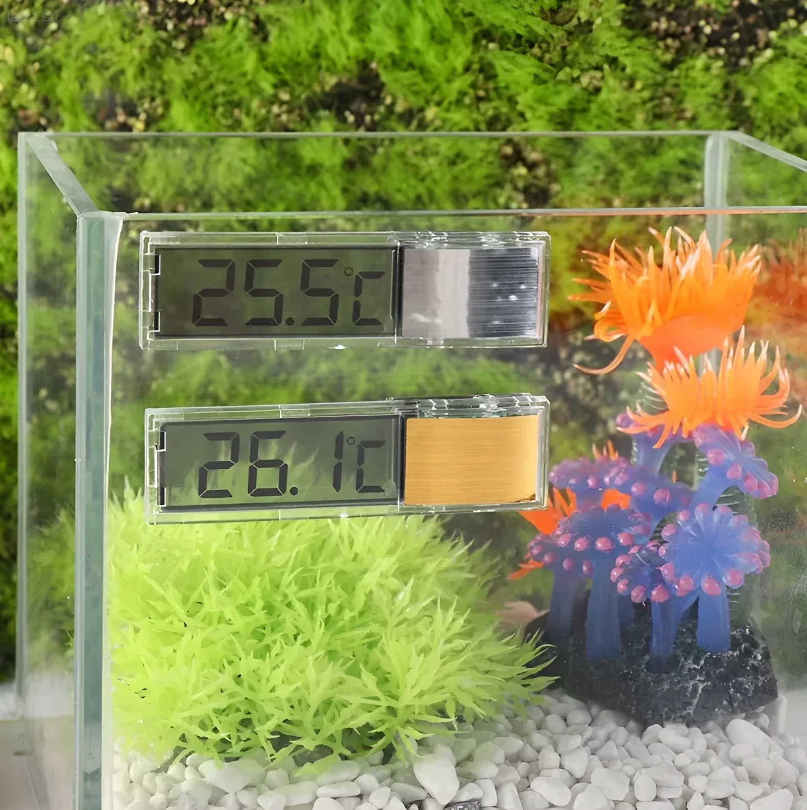 चमकीले कृत्रिम पौधों और दो डिजिटल थर्मामीटर वाले एक्वेरियम की तस्वीर, जो 25.5°C और 26.1°C दिखा रहे हैं। उष्णकटिबंधीय मछलियों के लिए इष्टतम तापमान बनाए रखना।
