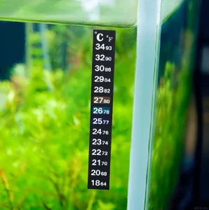 Изображение аквариума с густой растительностью и термометром, демонстрирующее оптимальный температурный режим для тропических рыб.
