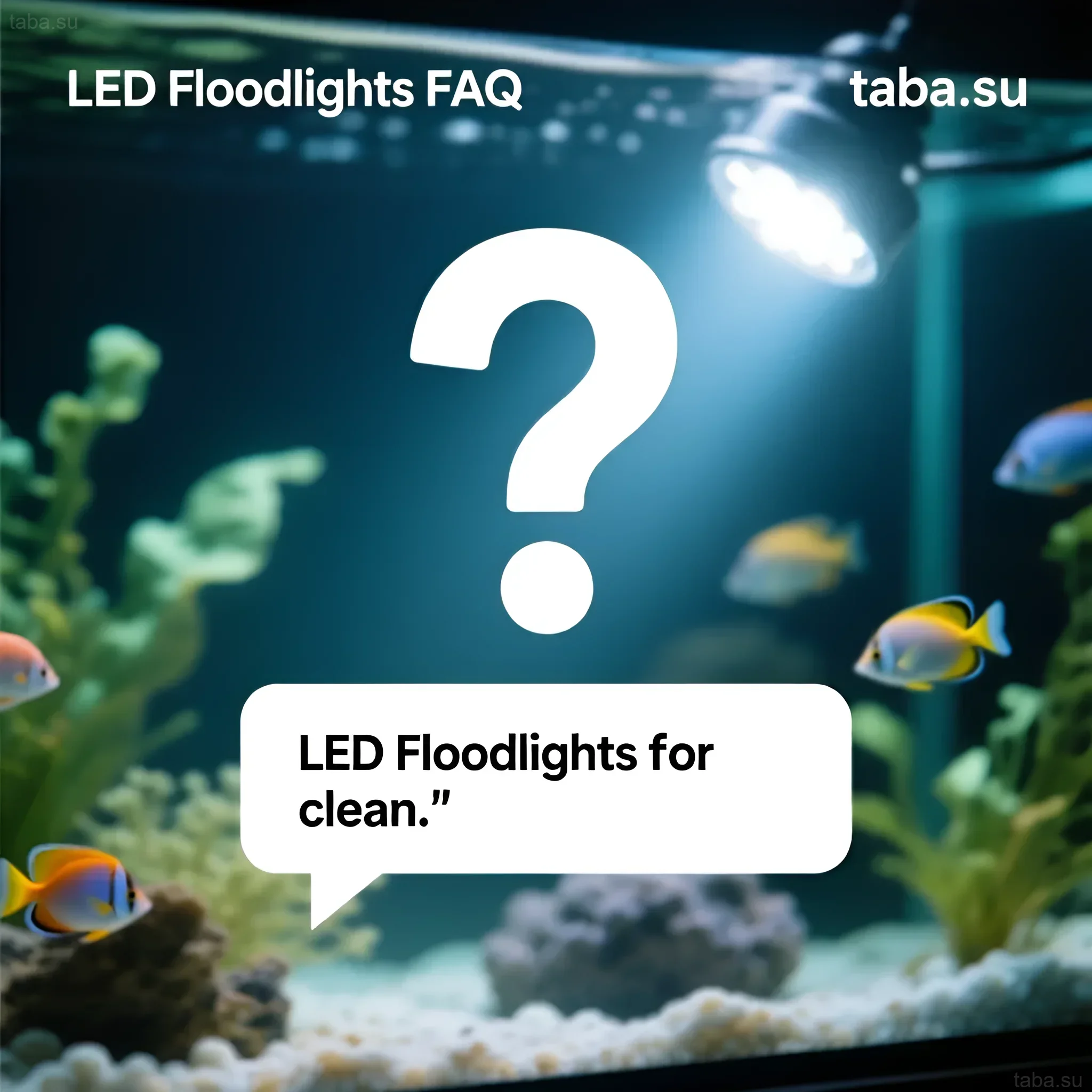 Bright aquarium with fish and plants illuminated by an LED floodlight. Discussion of lighting and care issues.
