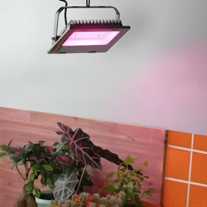 Фотография демонстрирует LED прожектор над растениями, создавая розовое свечение. Идеально для стимуляции роста неприхотливых видов.