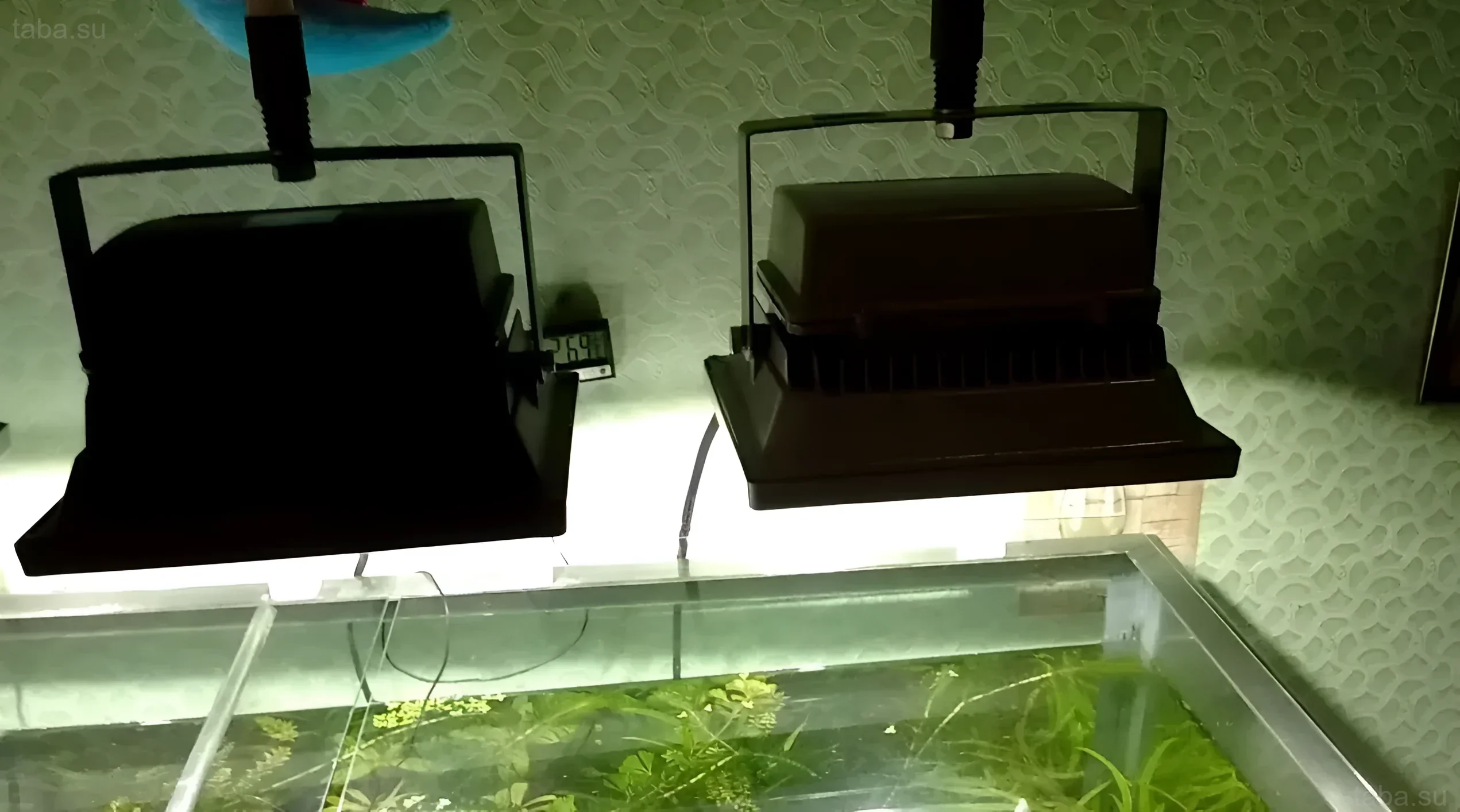 Photograph of an aquarium with dense vegetation, illuminated by two inexpensive LED floodlights. Suitable for beginner aquarists.