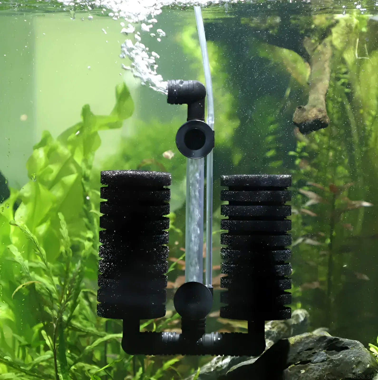 Image d'un filtre interne avec des éponges et une aération pour aquarium. Convient aux aquariums à crevettes et nano-aquariums.