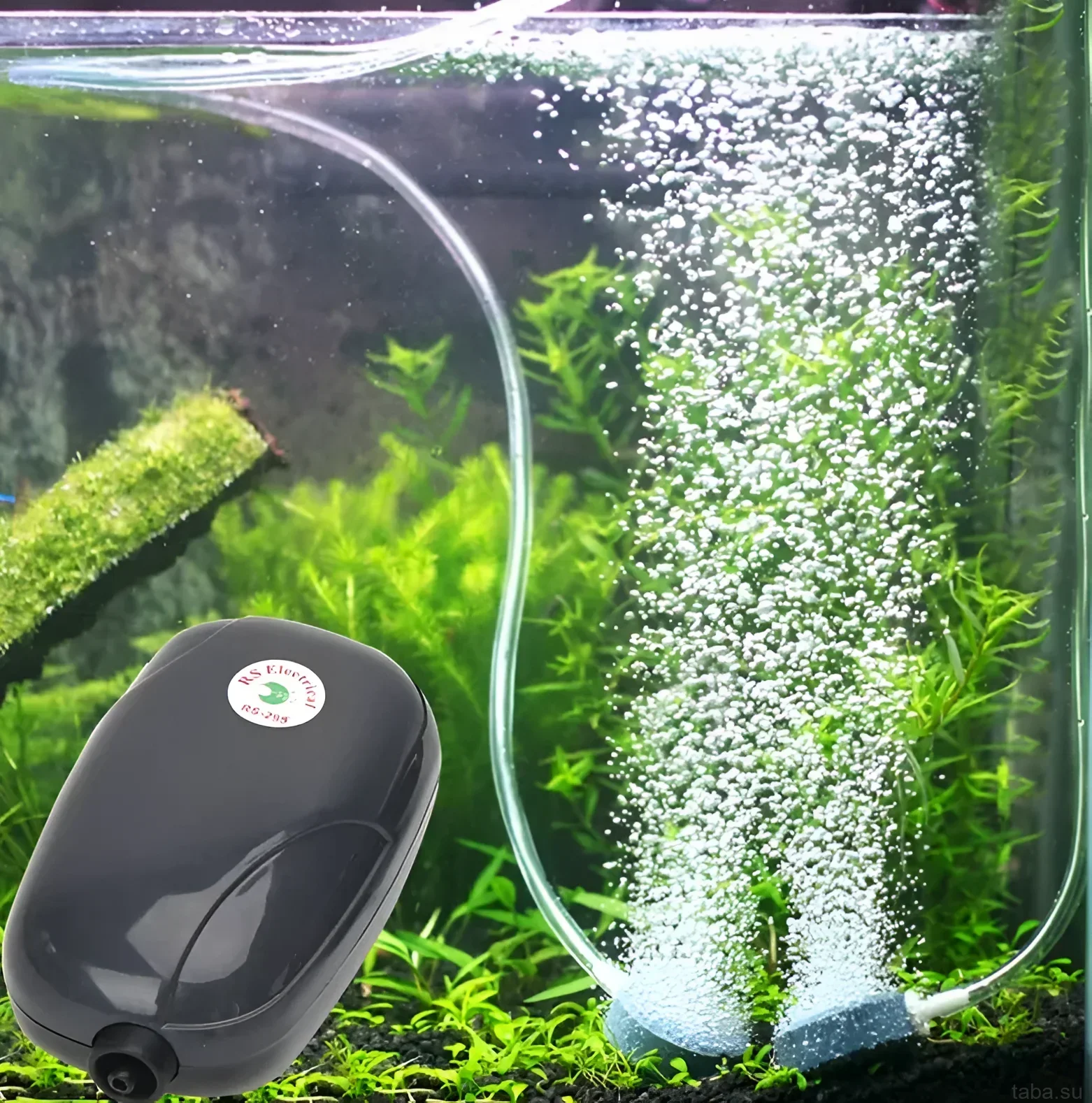 Image d'un aquarium avec un compresseur en fonctionnement et un flux abondant de bulles d'air, assurant l'oxygène pour les plantes et les poissons.