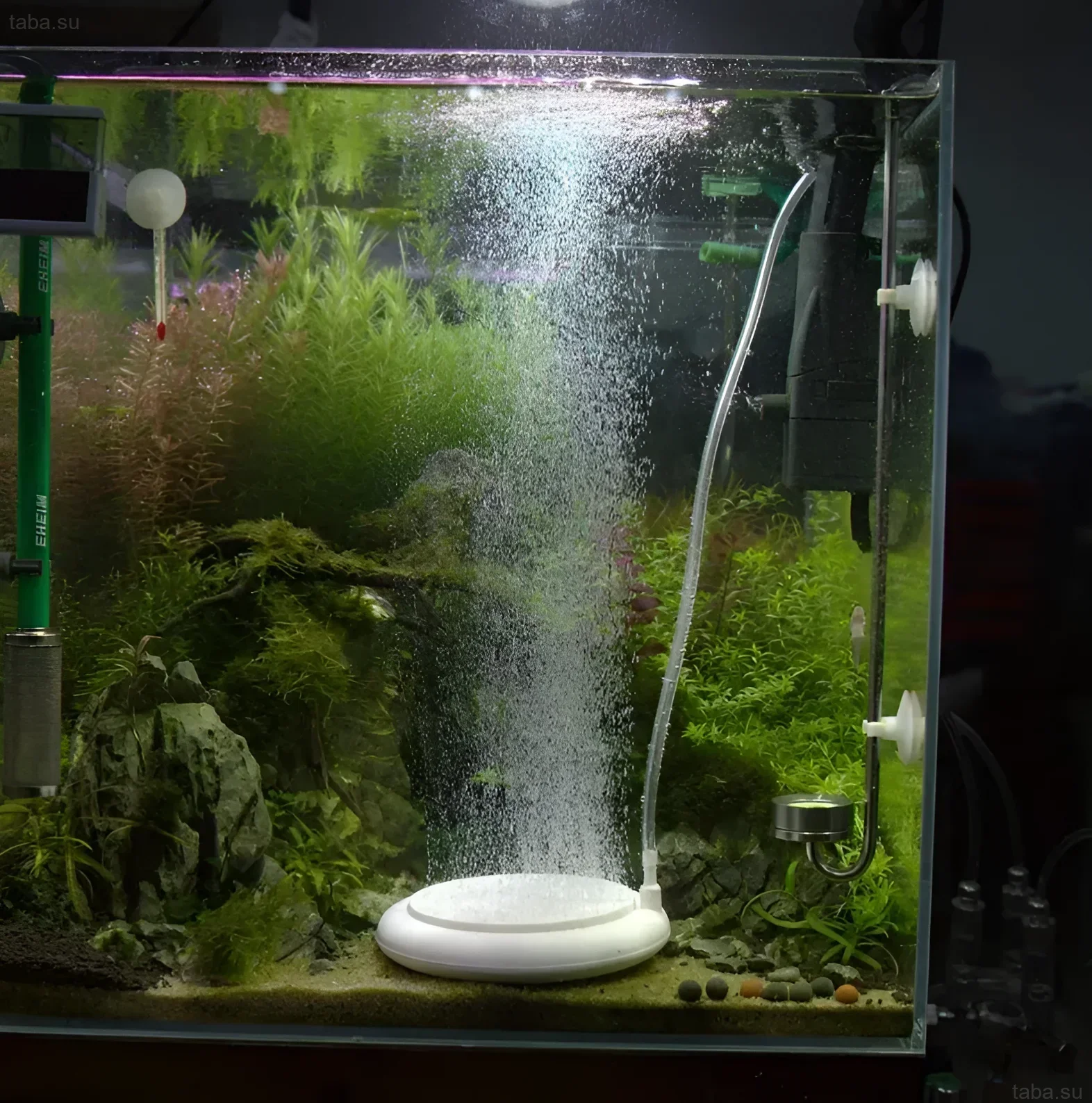 Photographie d'un aquarium avec un compresseur en fonctionnement et une aération abondante, démontrant la saturation de l'eau en oxygène pour soutenir la vie des plantes et des poissons.