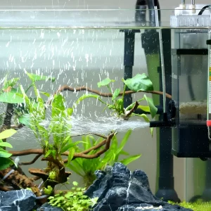 Фотография аквариума с фильтром, создающим интенсивную аэрацию. Идеально демонстрирует насыщение воды кислородом и визуальный эффект.