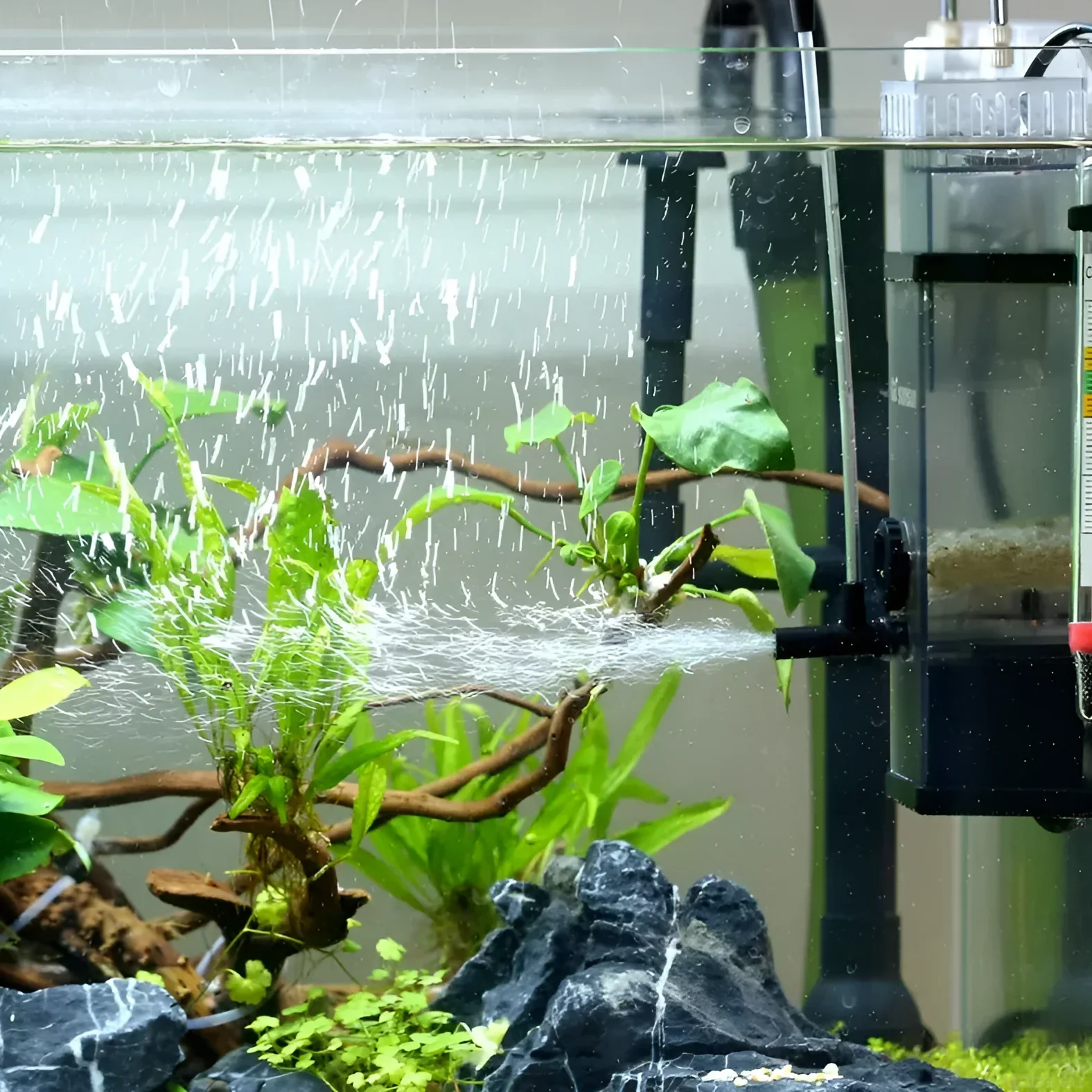 Photographie d'un aquarium avec un filtre créant une aération intensive. Illustre parfaitement la saturation de l'eau en oxygène et l'effet visuel.