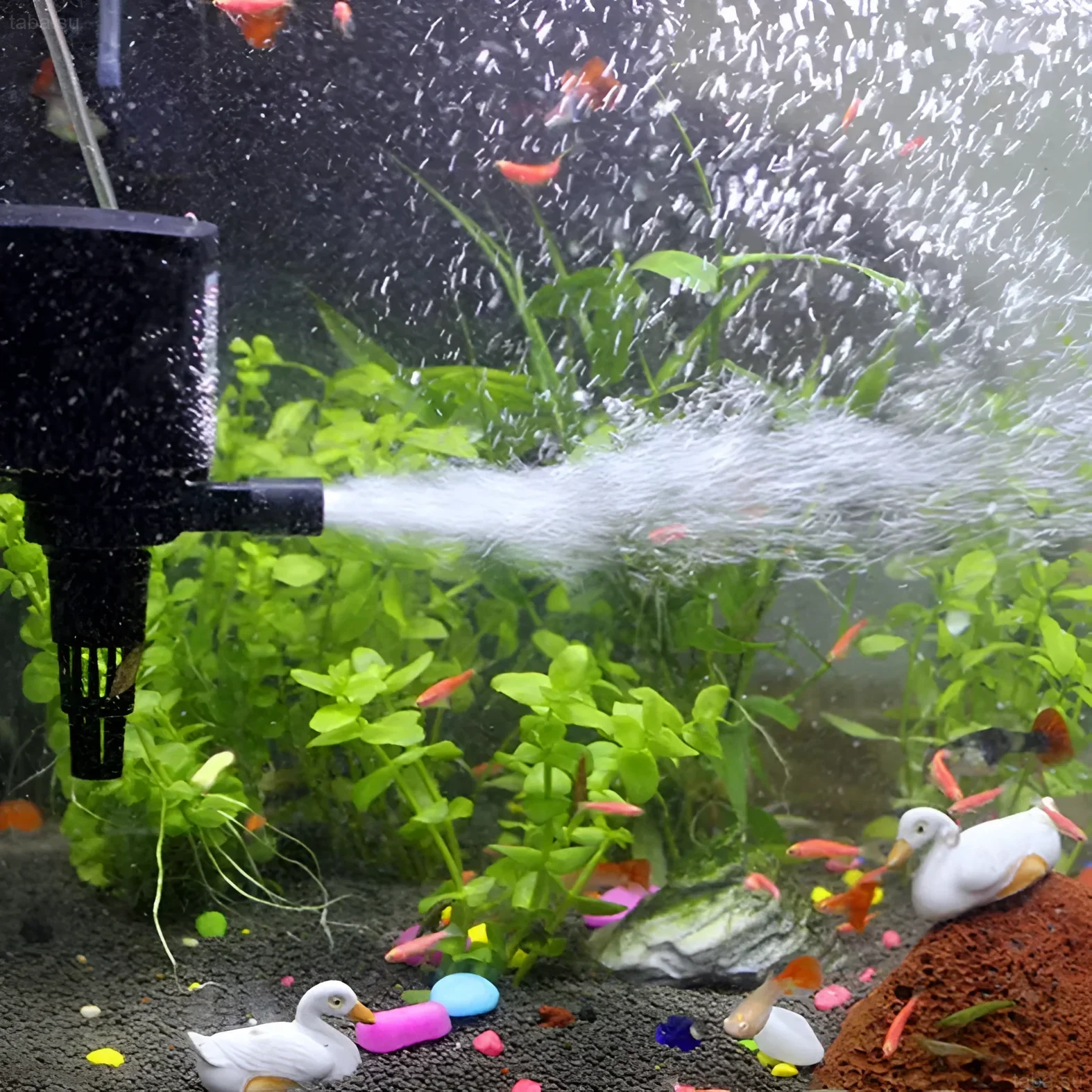 Photographie d'un aquarium avec une aération active, montrant une abondance de bulles et une végétation dense. Idéal pour illustrer l'importance de l'oxygène.