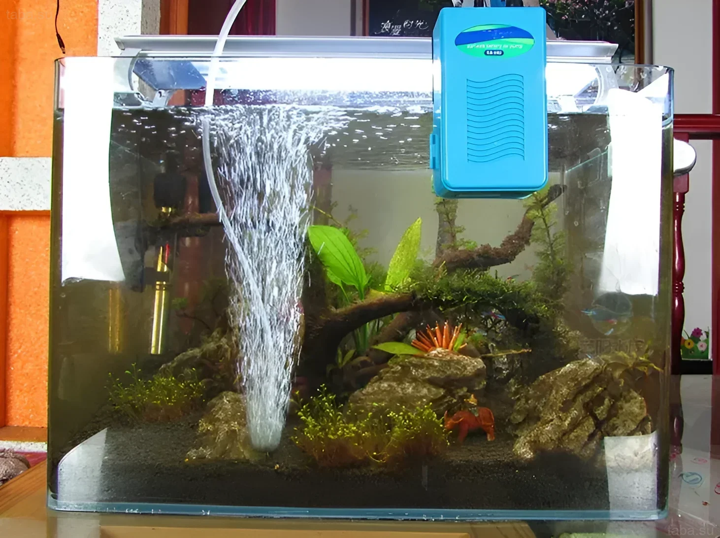 Photographie d'un aquarium rectangulaire avec un compresseur, des racines, des pierres et de petits poissons. Illustration pour un article sur l'aération.