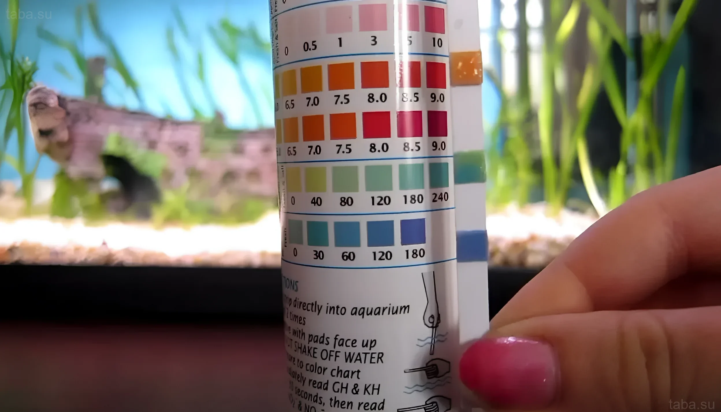 Illustration du processus de mesure du pH dans un aquarium à l'aide de bandelettes indicatrices. Paramètre important pour la santé des poissons et des plantes.