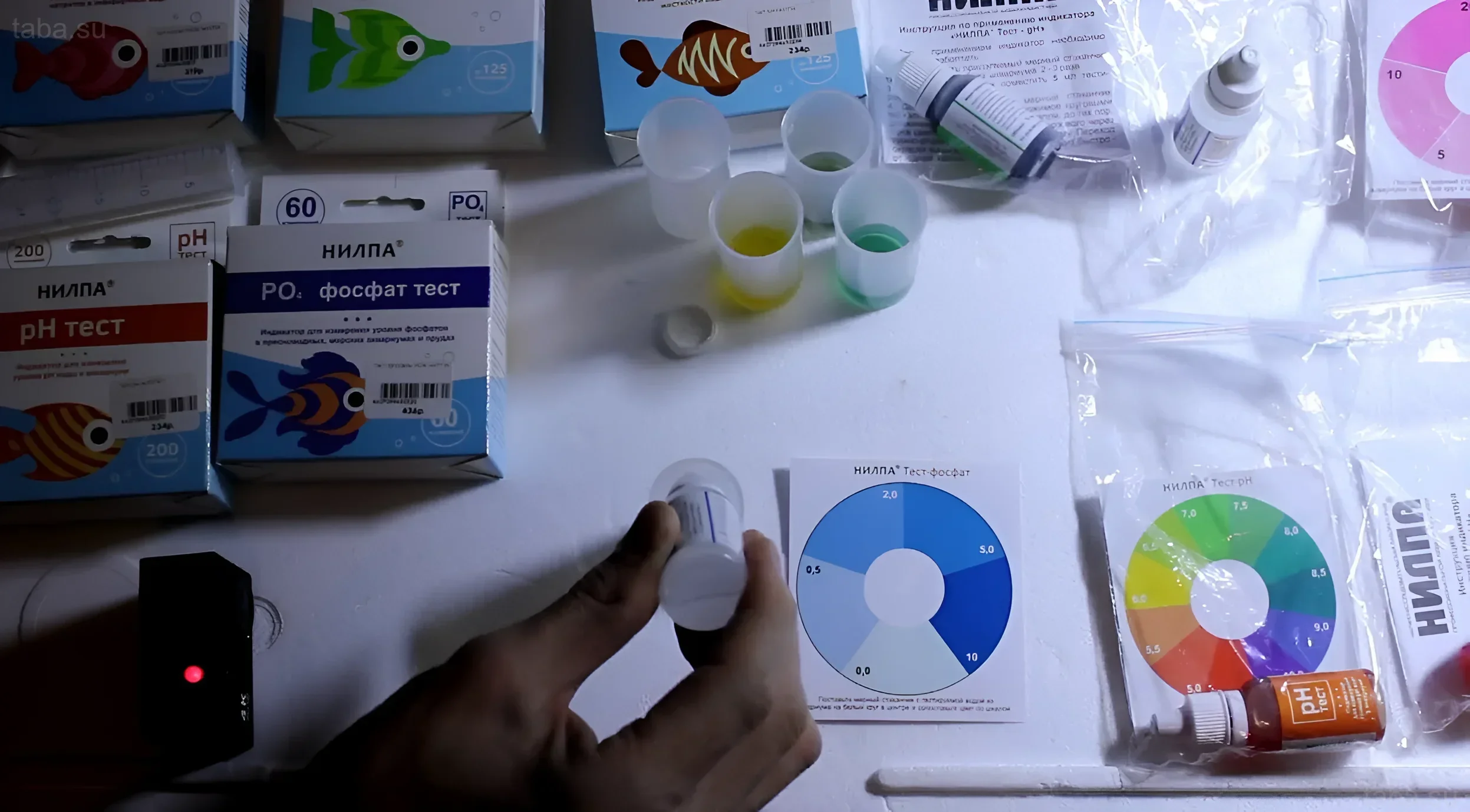 Kit de test pour le pH et les phosphates dans l'eau d'aquarium, démontrant l'importance du contrôle de l'équilibre chimique pour la santé des poissons.