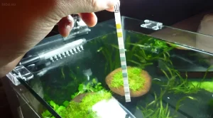 Иллюстрация измерения кислотности воды в аквариуме с помощью pH-теста. Зеленый аквариумный ландшафт и здоровые растения.