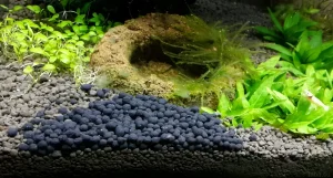 Фотография аквариума с активным грунтом сойл, демонстрирующая его структуру и влияние на рост растений. Идеально для креветочников!