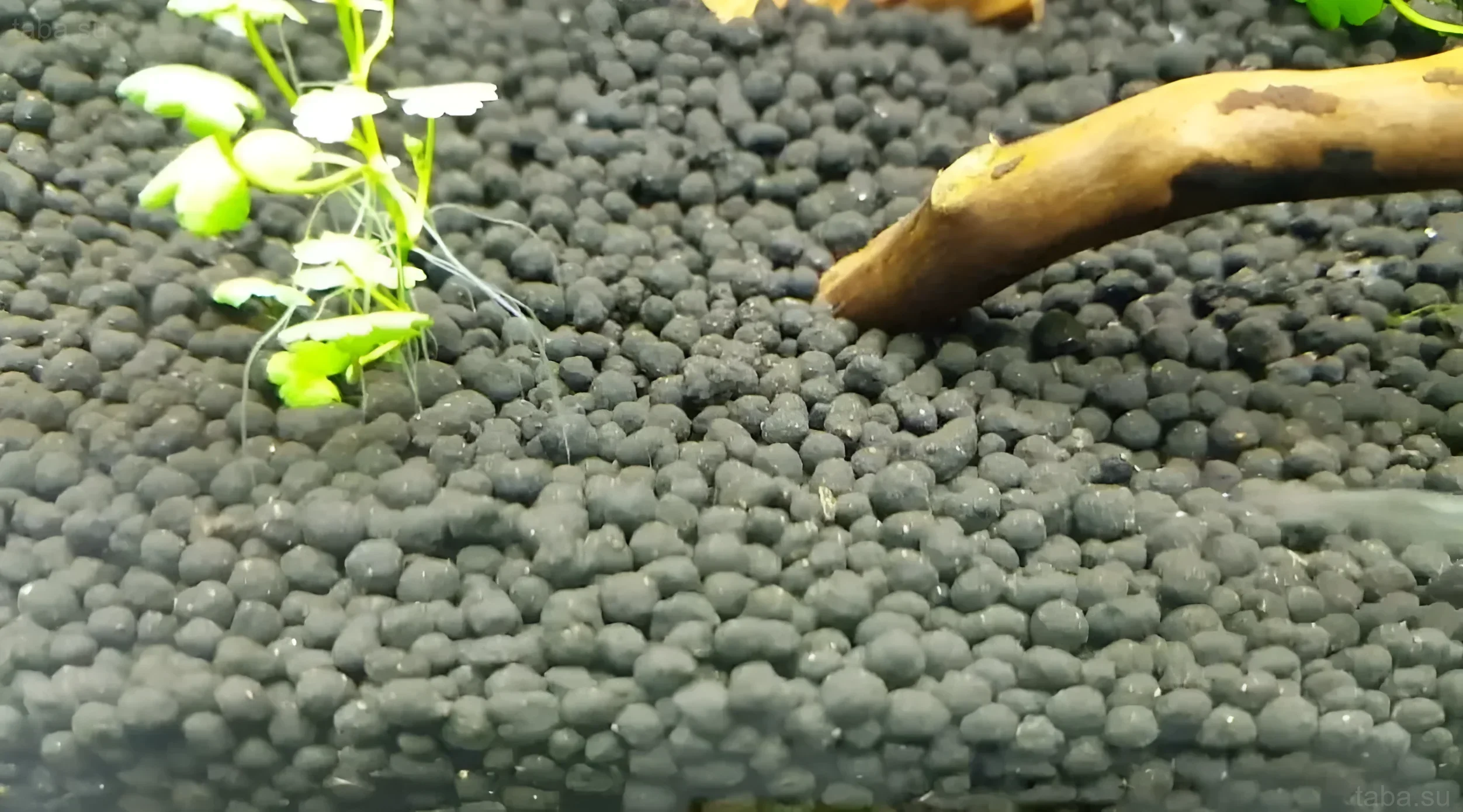 Close-up of active aquarium soil, showing its granular structure and a favorable environment for plant root systems.