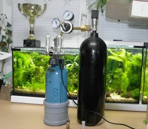 Фотография аквариума с системой подачи углекислого газа, включающей баллон, редуктор и реактор. Стимулирование роста растений в аквариуме.