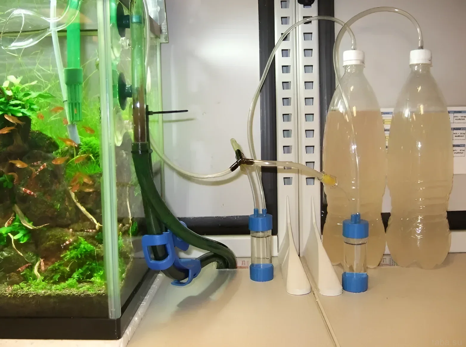 Фотография самодельной системы подачи CO2 в аквариум с использованием пластиковых бутылок и реактора. Оптимальное решение для роста растений.