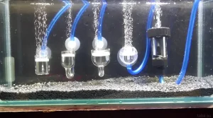 Фотография аквариума с четырьмя диффузорами CO2, демонстрирующая эффективную подачу углекислого газа для здорового роста водных растений.