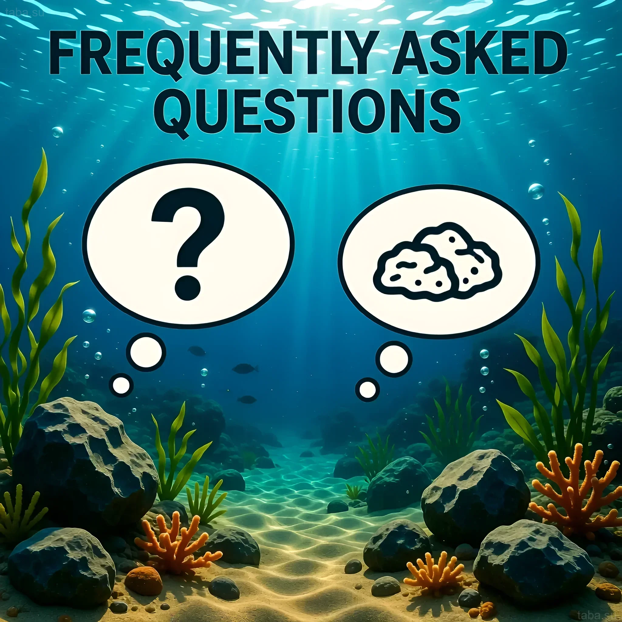 Illustration der Unterwasserwelt mit der Frage nach der Wahl der Steine für ein Riffaquarium: lebende oder trockene. Auswahl von Steinen für ein Meerwasseraquarium.