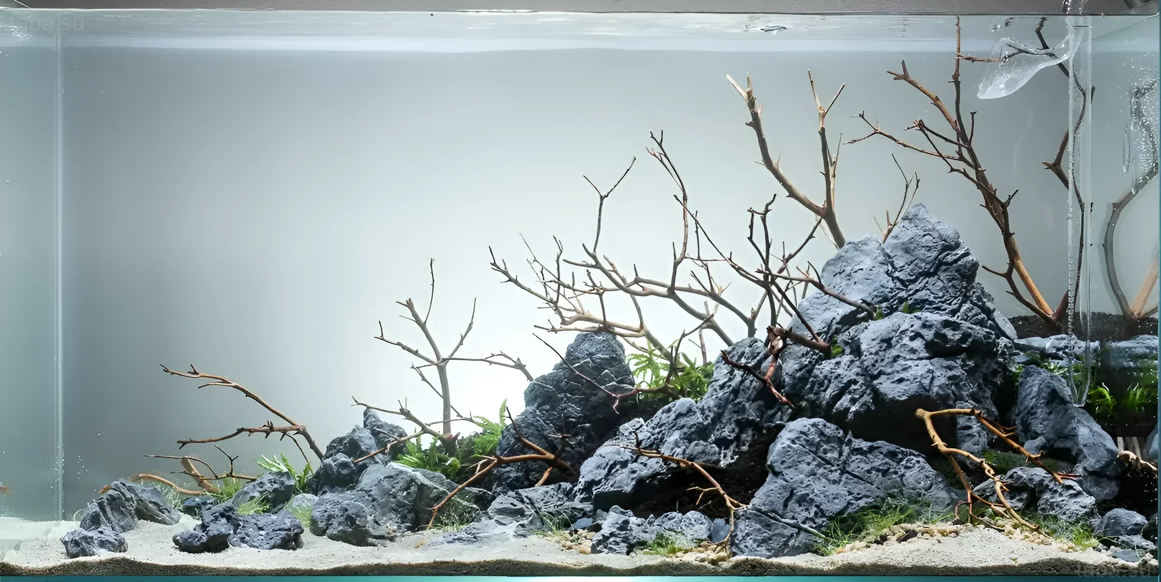 Фотография аквариума с лаконичным дизайном, использующим корягу, камни и светлый грунт. Подходит для вдохновения в оформлении аквариума.