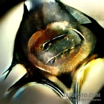 Batman – эскиз тату (№1749560093_0, 10.06.2025 12:54) — Tatufoto.com